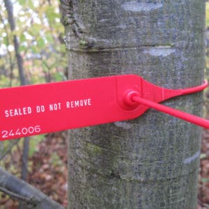 Baumstamm versiegelt mit roter Durchziehplombe ID Seal 600